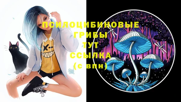 бутират Михайлов