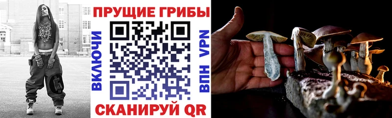 Купить закладки  Далматово  Галлюциногенные грибы мицелий 