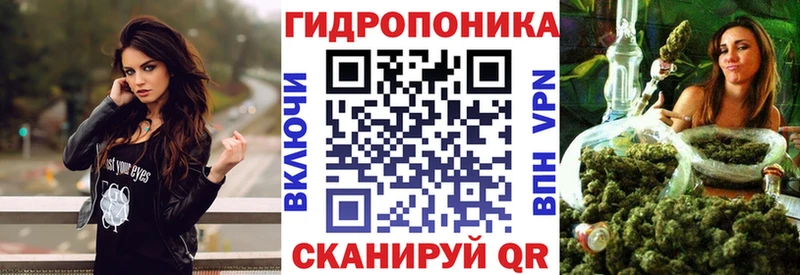 Купить закладки  Далматово  Бошки марихуана гибрид 